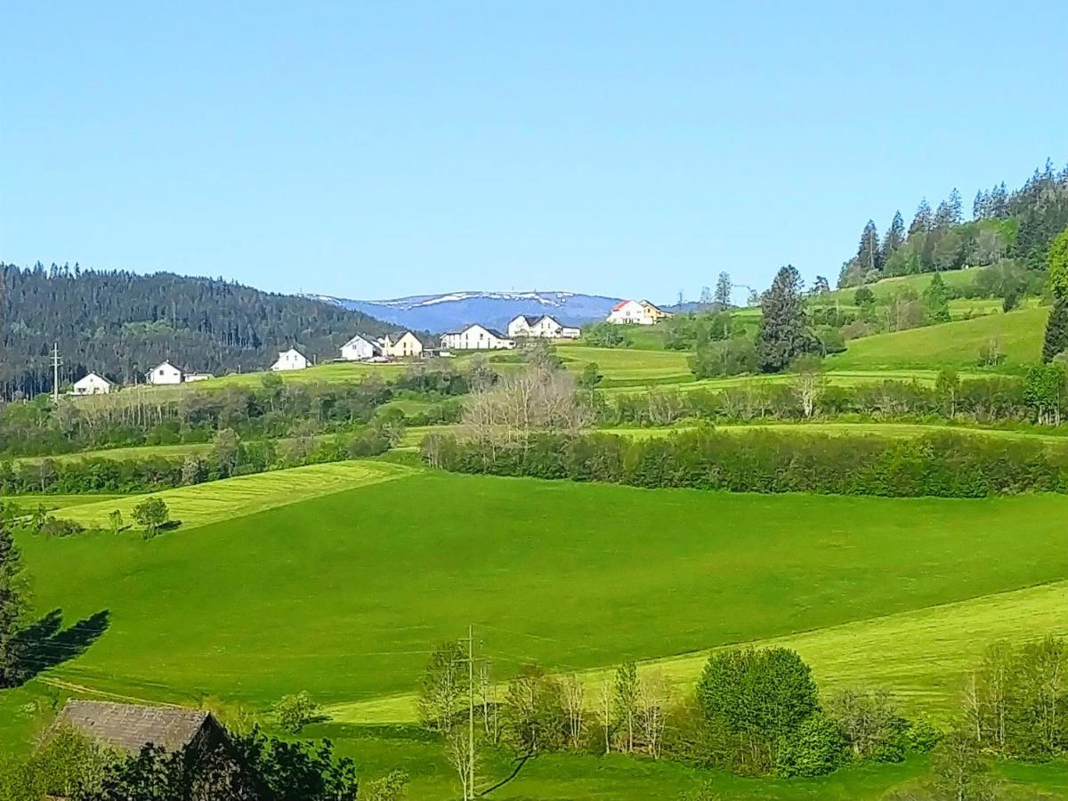 Romantic Style Apartment Titisee-Neustadt Εξωτερικό φωτογραφία
